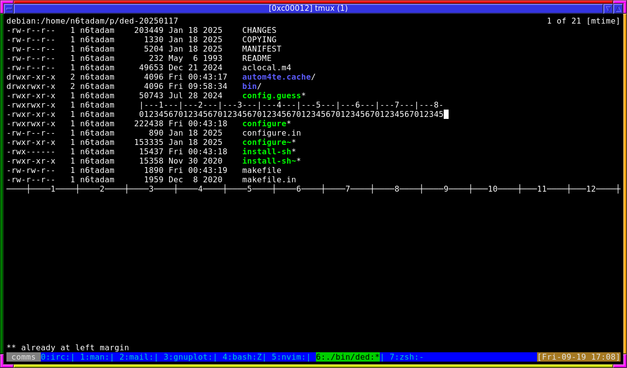 This show a terminal running a program called `ded` -- the top half shows a file listing in the terminal, and the lower half has a ruler in the terminal showing how many tabs there are.