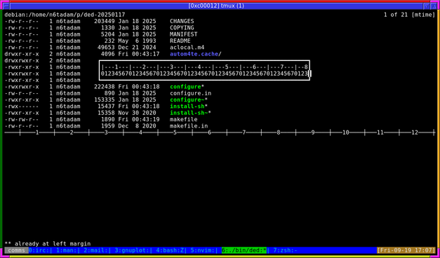 A terminal window, running tmux.

The top of the window has a horizontal split of three lines.  The first line shows numbers:

|---1--|--2--|---3---|

The second line counts from 01234567 repeatedly to denote the number of spaces in a tab character.