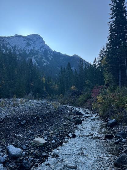 A serene view of a creek flowing through a rocky landscape, surrounded by dense evergreen trees and mountains in the background. The sky is clear, reflecting soft morning light.
