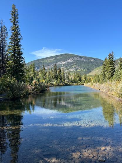 A serene landscape featuring a clear blue sky above a calm pond, surrounded by tall evergreen trees and a backdrop of a green mountain. The water reflects the trees and sky, with visible rocky riverbed beneath the surface.