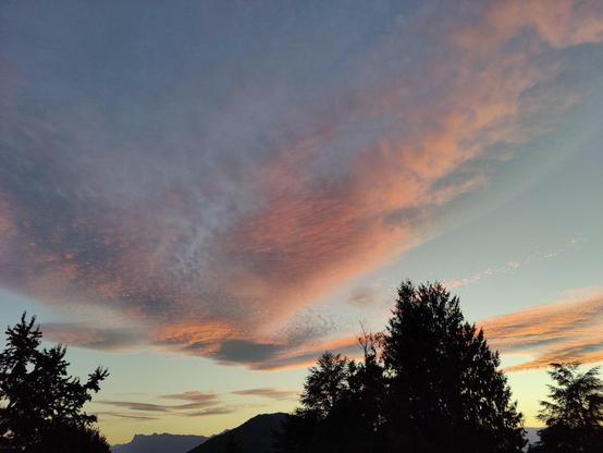 Des nuages qui s'étalent dans un ciel en train de s'assombrir avec le coucher du soleil. Les nuages sont roses et donnent l'impression de voir un oiseau en train de voler dans le ciel bleu, devenant jaune près des montagnes en face (le Vercors). Au premier plan, des silhouettes d'arbres déjà sombres.