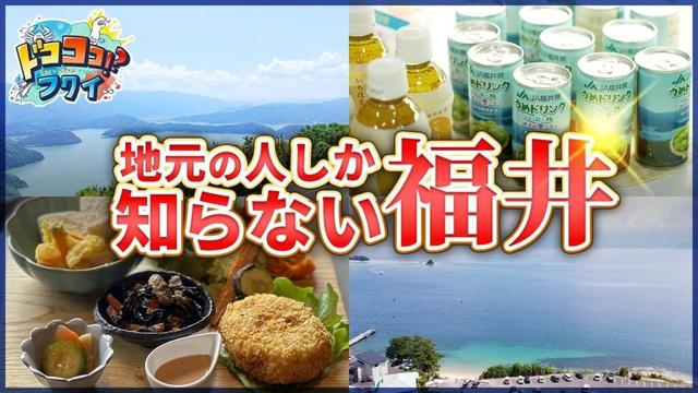 【福井県民がガチ推薦】京都から行ける！知られざる絶景＆グルメドライブ旅【ドコココ！？フクイ】福井県リアルインタビュー 京都発→嶺南エリア北部ドライブ観光編