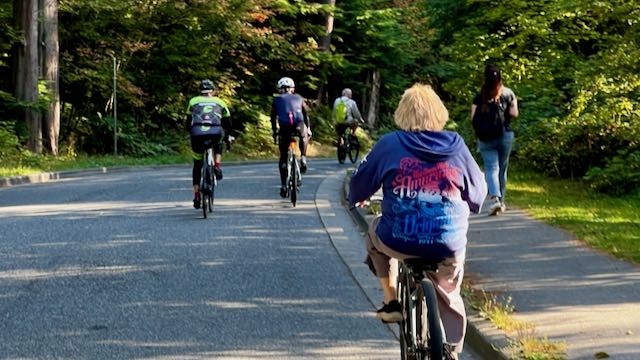 Four cyclists on a road and one pedestrian on an adjacent sidewalk  in the shade of trees and vegetation that surround the roadway.