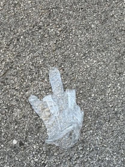 Plastikhandschuh liegt auf Asphalt. Die Finger sind so gebogen, dass der "Stinkefinger" gezeigt wird.