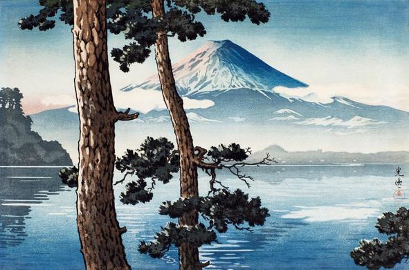An early morning view looking over Lake Kawaguchi, toward a snow-capped Mount Fuji beyond. In the foreground, a pair of wiry pine trees screen our view of the calm lake; on the far side of the water, Mount Fuji rises from a skirt of mist and a few puffy clouds, its eastern-facing flank tinted rose with the dawn.