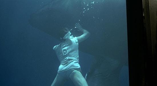Leonard Nimoy as Spock, swimming with a Humpback Whale. Like Spock is always doing, he's mind melding with anything with a brain.