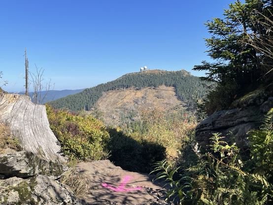 Blick vom Kleinen zum großen Arber im #woid #bayerischenwald mit dunklen Hochwald an den Arberhängen, eingesprenkelt goldene Laubbäume, Ahorn und Vogelbeere auf dieser Höhe. Der untere Hang nach Kahlschlag mit Felsrippen, Wurzelstöcken. Strahlend blau der Herbsthimmel. Farben von fast schwarzem Umbra über dunklem Blau in den Schatten über Ocker bis Grün des Waldbodens in der Sonne. das Lichtblau des Himmels bis zum Weiß der beiden Radome auf dem Arber. #nature #photography #silentsunday