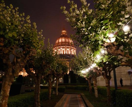 trees with lights in the foreground, city hall in yellow orange lights in the distance