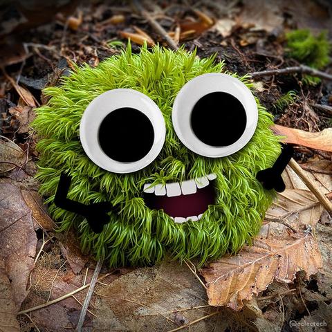 Square photo of a round ball of very green, hairy moss surrounded by dead leaves. I have added two large googly eyes, an open, toothy, smiling mouth and two wee arms. It looks quite happy to see you.
