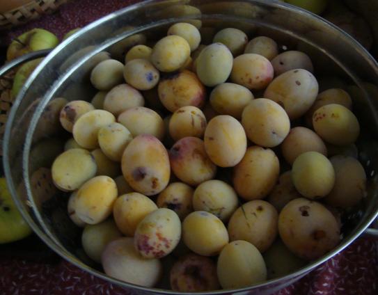 Prunes