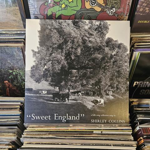 Album cover features a black and white photograph of trees along a ditch bank by a pasture.  Several cows are seen congregating beneath the trees. 🐄 🌳