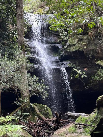 Horseshoe Falls, Hazelbrook Australia Waterfall cascading over a rocky ledge surrounded by lush greenery and moss-covered surfaces. Ferns and other foliage grow around the base, with tree trunks visible to the side. The water flows into a pool below, creating a serene, natural setting.