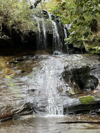 Fairy Falls, Hazelbrook Australia Small waterfall cascading over dark, moss-covered rocks into a shallow pool. Surrounded by dense greenery, including ferns and overhanging branches. Wet stone surfaces glisten with water, reflecting natural light.