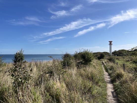 Ein malerischer Küstenweg, gesäumt von hohem Gras, führt zu einem weißen Leuchtturm vor einem klaren blauen Himmel mit dünnen Wolken. Links ist das ruhige Wasser der Bucht zu sehen, umgeben von üppigem Grün.