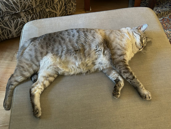 Rowan, Siamese tabby mix, on his side asleep on top of a beige foot stool