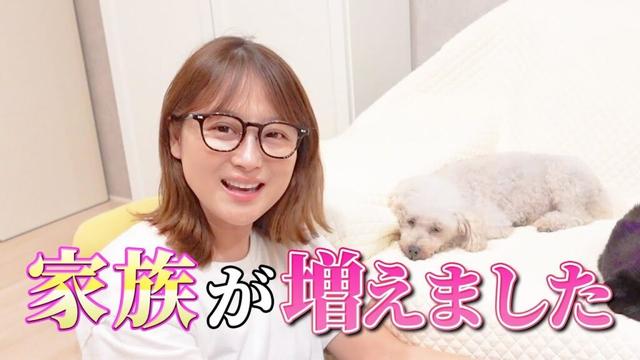 【保護犬】鈴木奈々、家族が増えました！