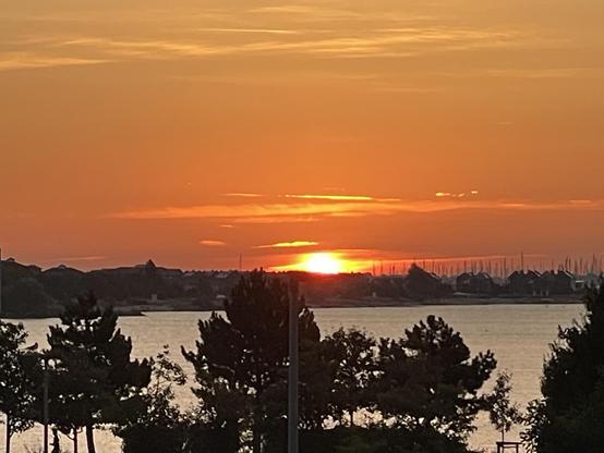 Ein leuchtender Sonnenaufgang über einem Gewässer mit Orange- und Gelbtönen am Himmel. Entlang der Küste sind Silhouetten von Bäumen und entfernten Gebäuden zu sehen.