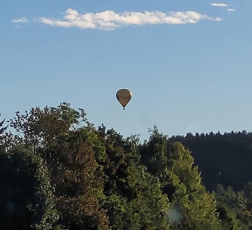 Heißluftballon über Bäumen