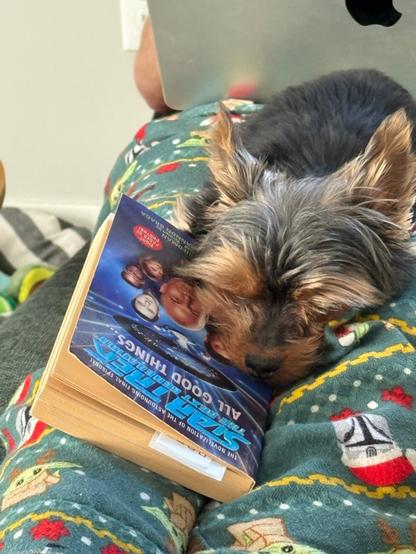 A small black and tan Yorkshire terrier sleeps between legs on a couch because the man's lap is full of a silver MacBook Pro. The dog's face is resting on a dogeared paperback of the "All Good Things..." TNG episode novelization. His ears are raised so he knows a photo is being taken. The man's pajama pants are a green Mandalorian flannel pattern.