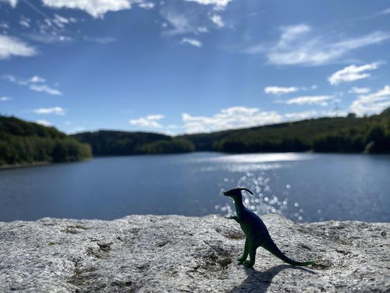 Kleiner Dino auf der Staumauer
