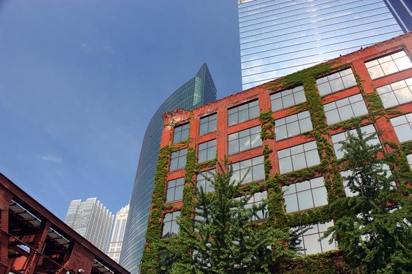 Looking up at various skyscrapers in Chicago. The tallest one on the right side has a mirror like surface that is pale blue with horizontal lines. Another skyscraper to the left appears to be shaped like a boat and has a glass-like surface that is a grayish green/blue. Behind that are a couple of white skyscrapers in the distance. In the lower left foreground is a red steel structure for the subway. In the lower right corner is a red brick building that has vines growing up most of it so there is a nice contrast between the red building and green vines. The windows have glass panes with are reflecting the sky. A couple of trees stand in front of the brick building.