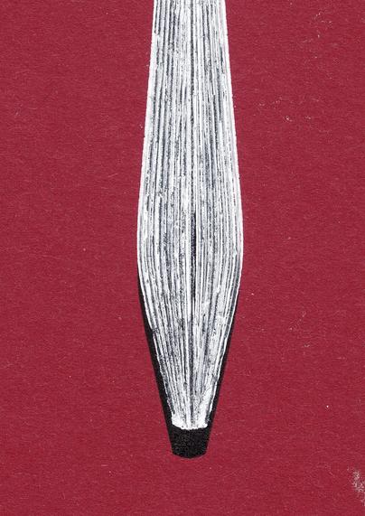 Ginko leaf shaped line art with dense lines in black india ink and a second layer of less dense lines in white ball pen on dark red cardboard.
Closeup on the stem of the leaf showing the densely layered, grooved white lines . The white ink is rather thick and so it creates some structure from the pen moving through it several times.