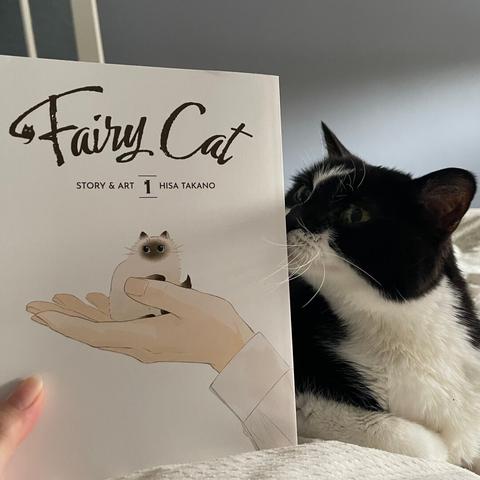 A manga about a tiny cat is shown next to a cute black and white cat.
