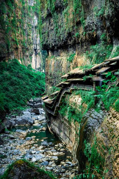 part of the Wulong Karst National Geology Park, a UNESCO World Heritage Site. The park is famous for its "Three Natural Bridges" and the "Longshuixia Difeng Gorge," both of which feature deep canyons with rivers at the bottom and a network of well-maintained trails and elevated boardwalks for visitors to explore.

The combination of the lush greenery, the towering, weathered cliffs, and the man-made paths hugging the rock faces is a hallmark of this type of landscape in Southern China.