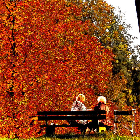 Vor einem herbstfarbenem Baum sitzen zwei Frauen mit dem Rücken zum Betrachter auf einer Bank, daneben steht ein Rollator.
Two women sit on a bench with their backs to the viewer in front of an autumn-coloured tree, with a rollator standing next to them.