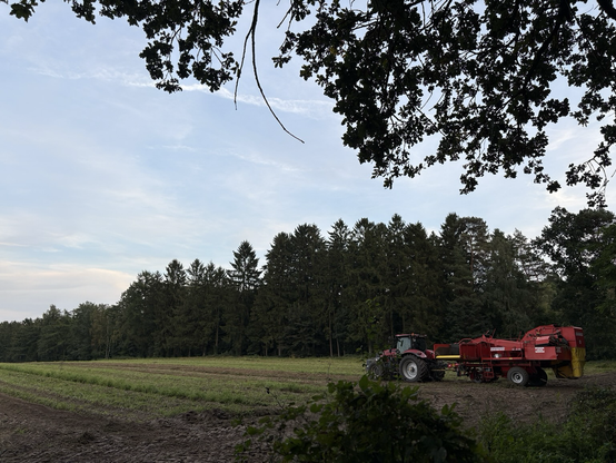 a tractor on a harvested field, autumny atmosphere