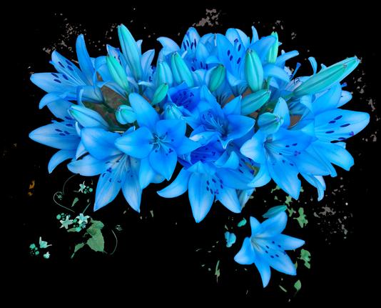Lilienstrauss, digital bearbeitet, blau eingefärbt