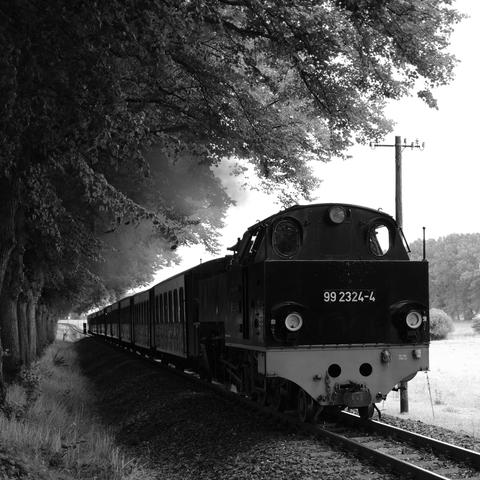 Das quadratische Schwarzweiß-Foto zeigt einen historischen Personenzug mit Dampflokomotive, der durch eine Allee fährt. Die Dampflokomotive ist im Vordergrund und trägt die Nummer 99 2324-4. Der Zug nähert sich dem Betrachter und ist kurz davor, rechts an diesem vorbeizufahren.

The square black-and-white photo shows a historic passenger train with a steam locomotive traveling along a tree-lined track. The steam locomotive is in the foreground and bears the number 99 2324-4. The train is approaching the viewer and is about to pass by on the right.
