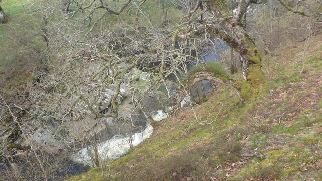 gorge of the River Calder