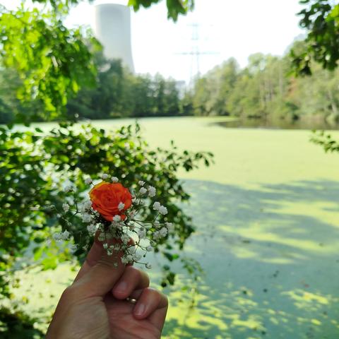 Small bouquet with orange rose in front of the pond.