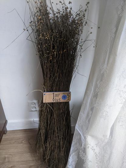 Bunch of dried flax standing in a corner