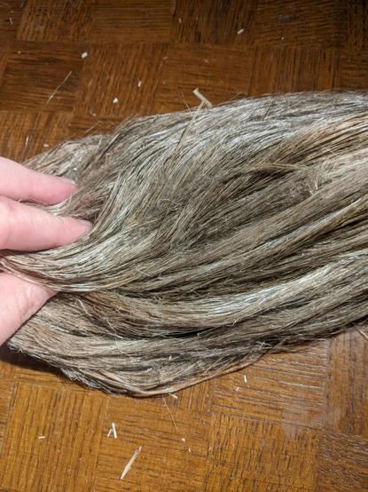Close-up of scutched flax fibers