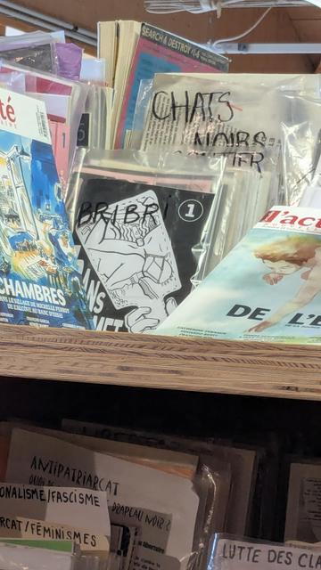 Étagère avec un amoncellement de fanzines dont une pochette transparente remplie de zines avec écrit bribri dessus. Au travers on peut voir le zine trans gourmet