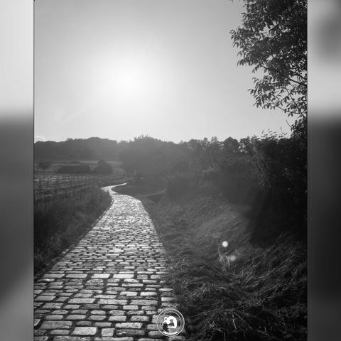 black and white image of an empty cobbled field path, the sun setting right above it