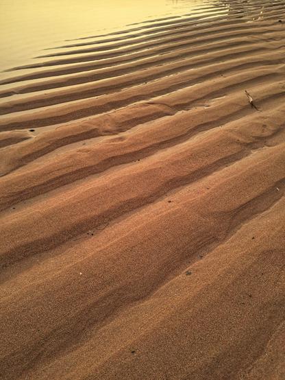 [pt] praia na baixa-mar com sulcos na areia e água em segundo plano

[en] beach at low tide with grooves in the sand and water in the background