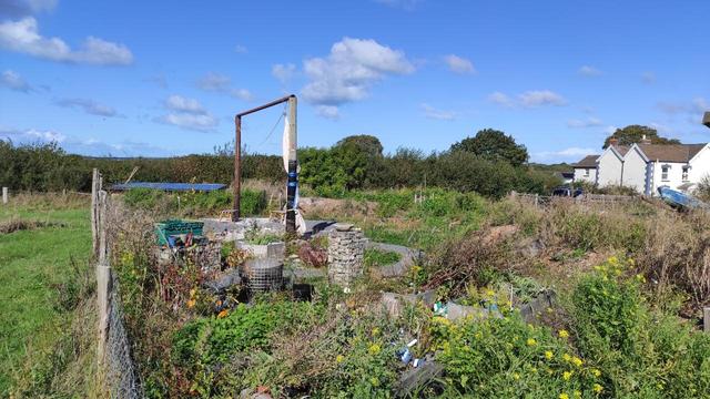 New garden with canvas strapped to one of the 2 telegraph poles which form a frame for the shelter.