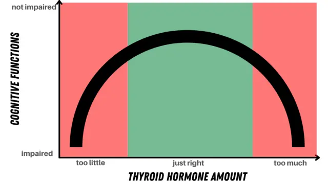 Relation between thyroid hormone amount and cognitive function