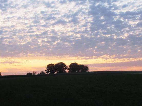 Silhouetten von ein paar Bäumen auf einem flachen Hügel, darüber ein Streifen angestrahlter Wolken, darüber graue, flockige Wolken