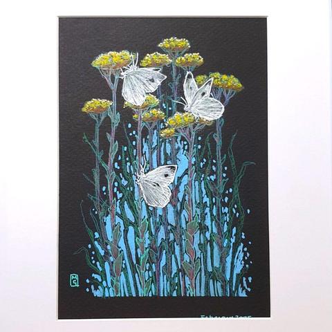 A drawing of 3 Cabbage White butterflies perched on tall yellow flowers with a blue background to the lower area of the composition. The drawing is on Black paper.
The Cabbage White butterfly is a species that thrives in diverse habitats, these small to medium-sized white butterflies with dark wingtips and spots are a familiar sight, fluttering in abundance during late spring and summer.
An original art work
Colour pencil and mixed media on acid free toned artist paper
5 by 7 inches (12.7 by 17.8 cm).
Sold unframed