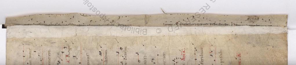 A binding fragment from Barb.lat.681.  It shows a sideways book, looking into the binding, where a narrow strip of parchment has a single line of Beneventan script and neumes