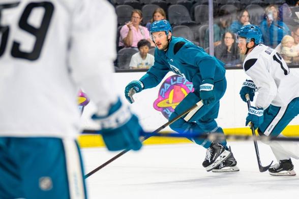 San Jose Sharks defenseman Vincent Desharnais