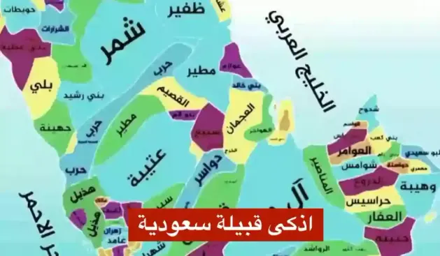 من هي اذكى القبائل السعودية