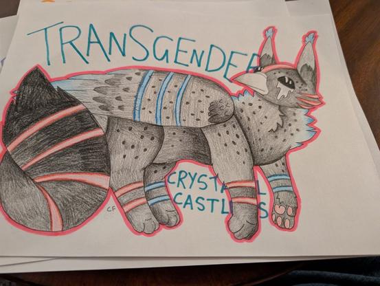 Hand drawn artwork of Whisper, a spotless starling maine raccoon cat gryphon with cat ears, four cat paws, dark fur with the barest hint of starling 'stars' in the pattern, with silver eyeshine paint covering her eyes and putting designs and stripes into her fur. The CockatielForger has worked blue and pink into the stripes and design to recreate the trans pride colors. In blue written above her is Transgender. Below is Crystal Castles, the name of the band. Whisper is a transfemme gryphon and main point of view character in the novel Pridelord.