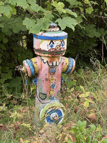 Bunt bemalter Feuerwehrhydrant mit Rostigen Stellen, steht im Grünen