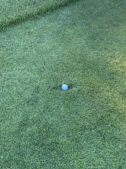 Golf ball in a divot in the fairway on the 4th hole.