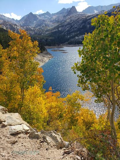 Photo of a high mountain lake with singling framed by autumnal yellow aspen trees in the foreground and the background is the high Eastern Sierra Nevada Mountains at the Bishop Pass. Photo by Jenifer Hanen.